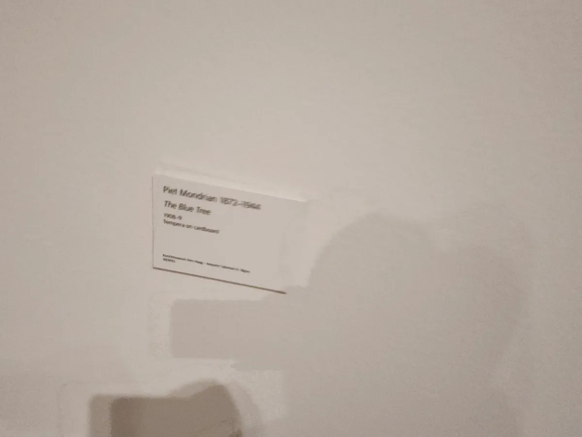 Klimt & Mondrian Gallery Image 26
